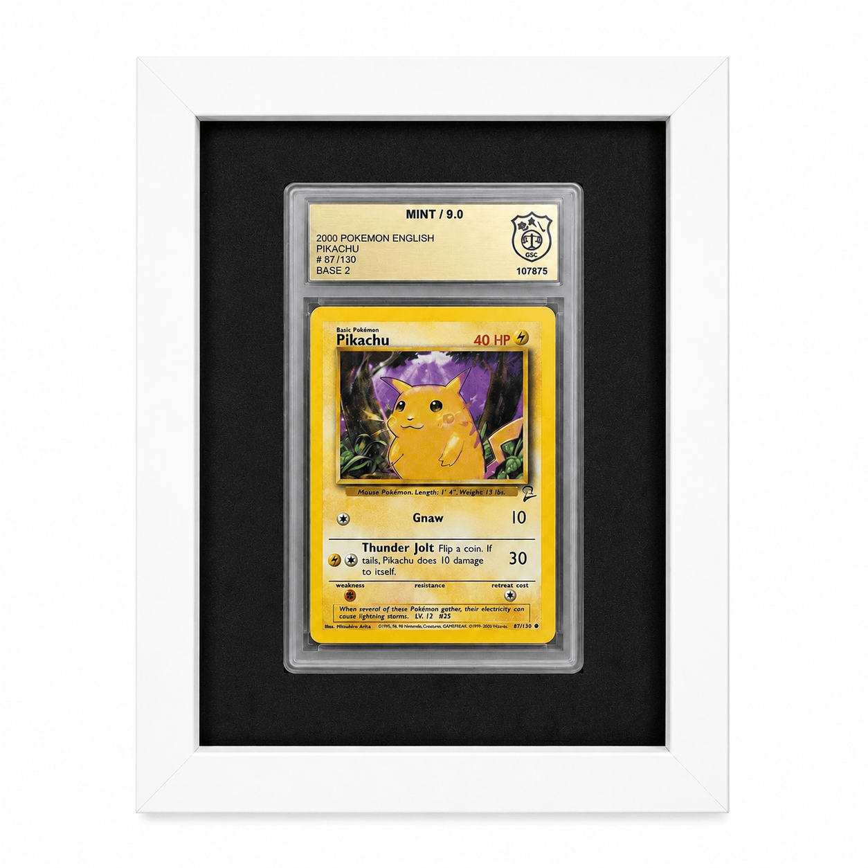 GSG Slab Rahmen für 1 Slab Weiß – Graded Card Display kaufen