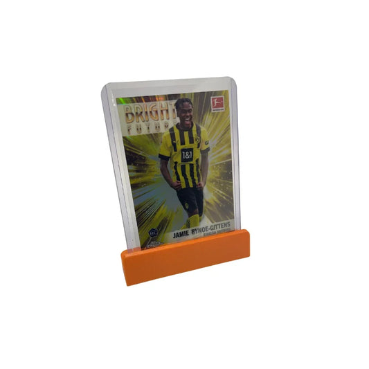 Cardframes Elevate
