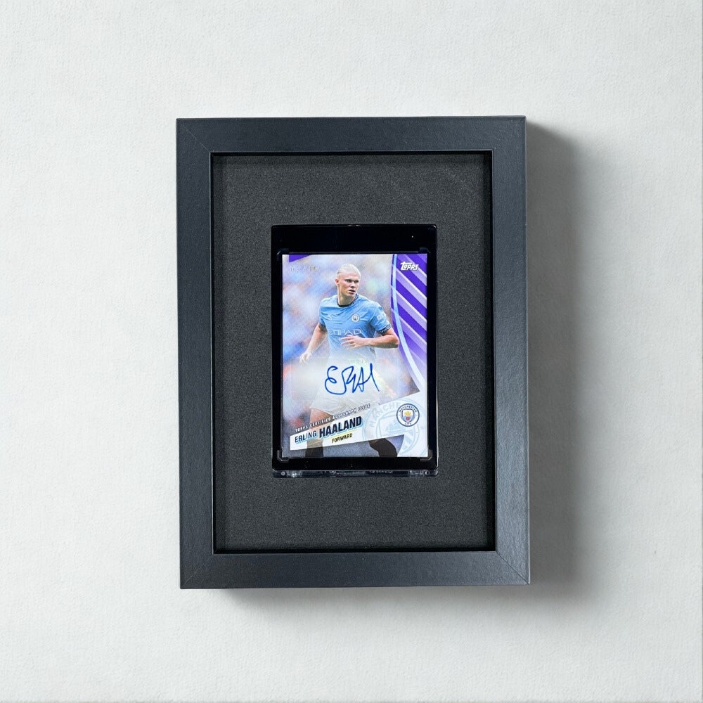 Frame for 1 magnet holder